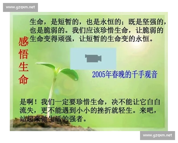 胜负之外：坚守与热爱的永恒力量