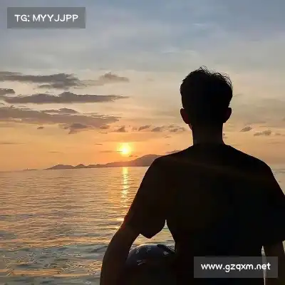 沈廷衡